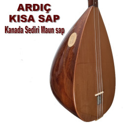 ARDIÇ BAĞLAMA KISA SAP KANADA SEDİR MAUN SAP   ARDIÇ BAĞLAMA KISA SAP KANADA SEDİR MAUN SAP
