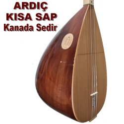 ARDIÇ BAĞLAMA KISA SAP KANADA SEDİRİ ARDIÇ BAĞLAMA KISA SAP KANADA SEDİRİ