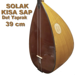 SOLAK DUT YAPRAK  BAĞLAMA KISA SAP 39 cm   SOLAK DUT YAPRAK  BAĞLAMA KISA SAP 39 cm