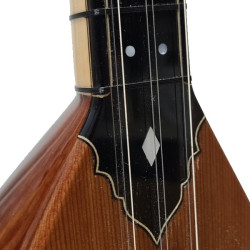 SOLAK ARDIÇ BAĞLAMA KISA SAP 40 cm   SOLAK ARDIÇ BAĞLAMA KISA SAP 40 cm