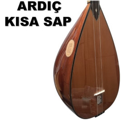 KISA SAP BAĞLAMA ARDIÇ 38,5 cm KISA SAP BAĞLAMA ARDIÇ 38,5 cm