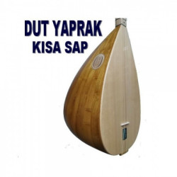 DUT YAPRAK BAĞLAMA KISA SAP 42 cm   DUT YAPRAK BAĞLAMA KISA SAP 42 cm